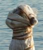 post-10-1117736458_thumb.jpg