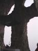 post-15-1118255902_thumb.jpg