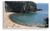 post-15-1158235037_thumb.gif